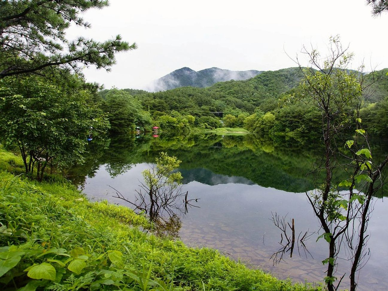 Guía de pesca